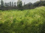 Residential Plot in Anekal for resale Bengaluru. The...