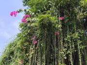 Residential Plot in Annaram for resale Hyderabad. The...