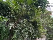 Residential Plot in Arakere for resale South Bangalore....
