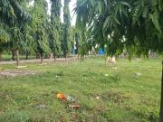 Residential Plot in Avadi for resale Chennai West. The...
