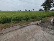 Residential Plot in Ayodhya Bypass for resale Bhopal....