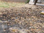 Residential Plot in B. V. Nagar, Harinathpuram for...