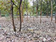 Residential Plot in Bagalur for resale Bengaluru. The...