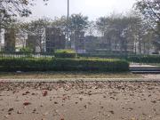 Residential Plot in Bamheta Village for resale...