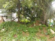 Residential Plot in Bangalore City Municipal Corporation...