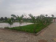 Residential Plot in Bangarrajupeta for resale...