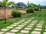Residential Plot in Bangarrajupeta for resale...