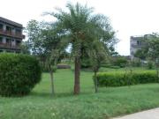 Residential Plot in Banur for resale Mohali. The...