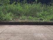 Residential Plot in Bavdhan for resale Paud Road. The...