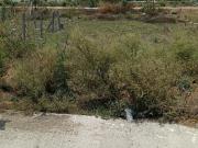 Residential Plot in Bawadiya Kalan for resale Bhopal....