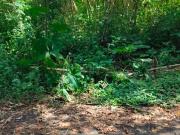 Residential Plot in Begur for resale South Bangalore....