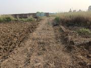 Residential Plot in Beldari Chak for resale Patna. The...