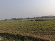 Residential Plot in Beldari Chak for resale Patna. The...