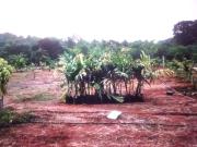 Residential Plot in Belondakhar for resale Navi Mumbai....