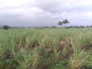 Residential Plot in Belondakhar for resale Navi Mumbai....