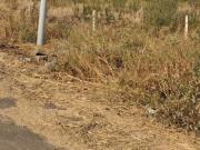 Residential Plot in Belondakhar for resale Navi Mumbai....