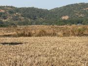 Residential Plot in Belondakhar for resale Navi Mumbai....