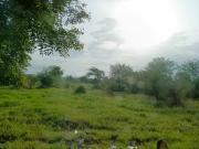 Residential Plot in Bhagur Rural for resale Nashik. The...