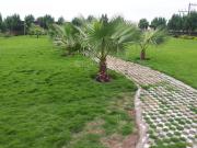 Residential Plot in Bhatagaon for resale Raipur. The...