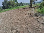 Residential Plot in Bhatpara for resale Kolkata. The...