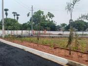 Residential Plot in Bheemunipatnam for resale...