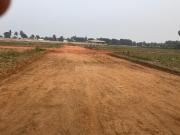 Residential Plot in Bheemunipatnam for resale...