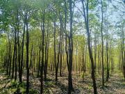 Residential Plot in Bhogapuram for resale Visakhapatnam....