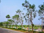 Residential Plot in Bhogapuram for resale Visakhapatnam....