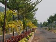 Residential Plot in Bhogapuram for resale Visakhapatnam....