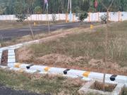 Residential Plot in Bhogapuram for resale Visakhapatnam....