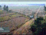 Residential Plot in Bhogapuram for resale Visakhapatnam....