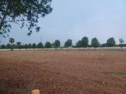 Residential Plot in Bhogapuram for resale Vizianagaram....