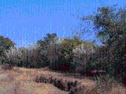 Residential Plot in Bhoste for resale Ratnagiri. The...