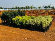 Residential Plot in Bhuvanagiri for resale Hyderabad....