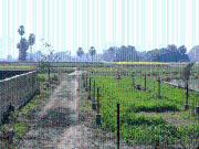 Residential Plot in Bihta for resale Patna. The...