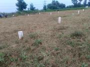 Residential Plot in Bihta for resale Patna. The...