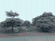 Residential Plot in Bistupur for rent Jamshedpur. The...