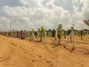 Residential Plot in Bommalaramaram for resale Hyderabad....