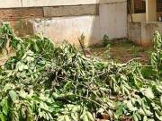 Residential Plot in BTM Layout for resale South...