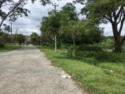 Residential Plot in Bukkasagara for resale Bangalore....