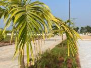 Residential Plot in Byatarayanapura for resale...