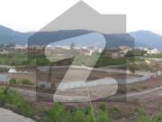 Residential Plot In C 15 Is Up For Sale