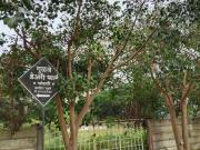 Residential Plot in Chandshi for resale Nashik. The...