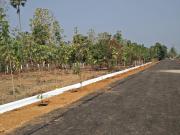 Residential Plot in Cheepurupalli East for resale...