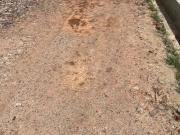 Residential Plot in Chhatikara for resale Vrindavan. The...