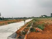 Residential Plot in Chikka Tirupathi for resale...