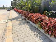 Residential Plot in Chikka Tirupathi for resale...