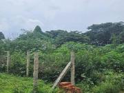 Residential Plot in Chikkalasandra for resale South...