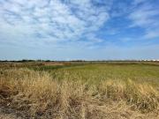 Residential Plot in Chirner for resale Navi Mumbai. The...