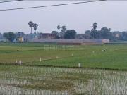 Residential Plot in Chirora for resale Patna. The...